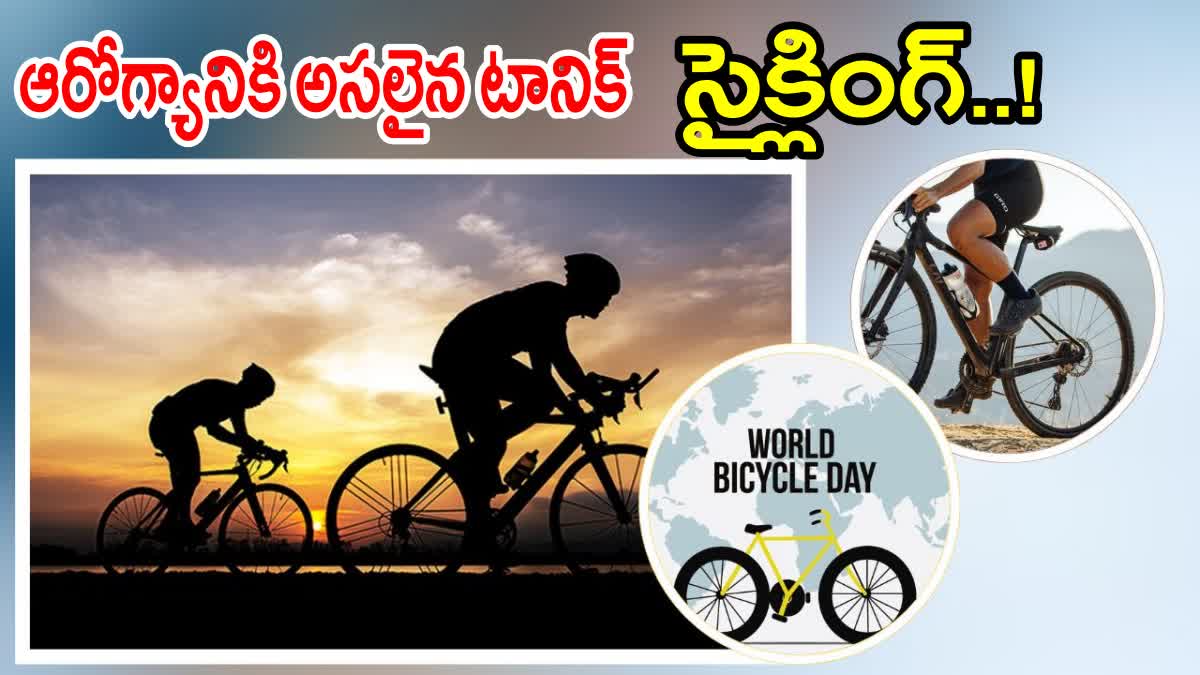 World Bicycle Day