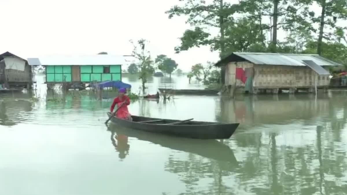 Assam flood situation