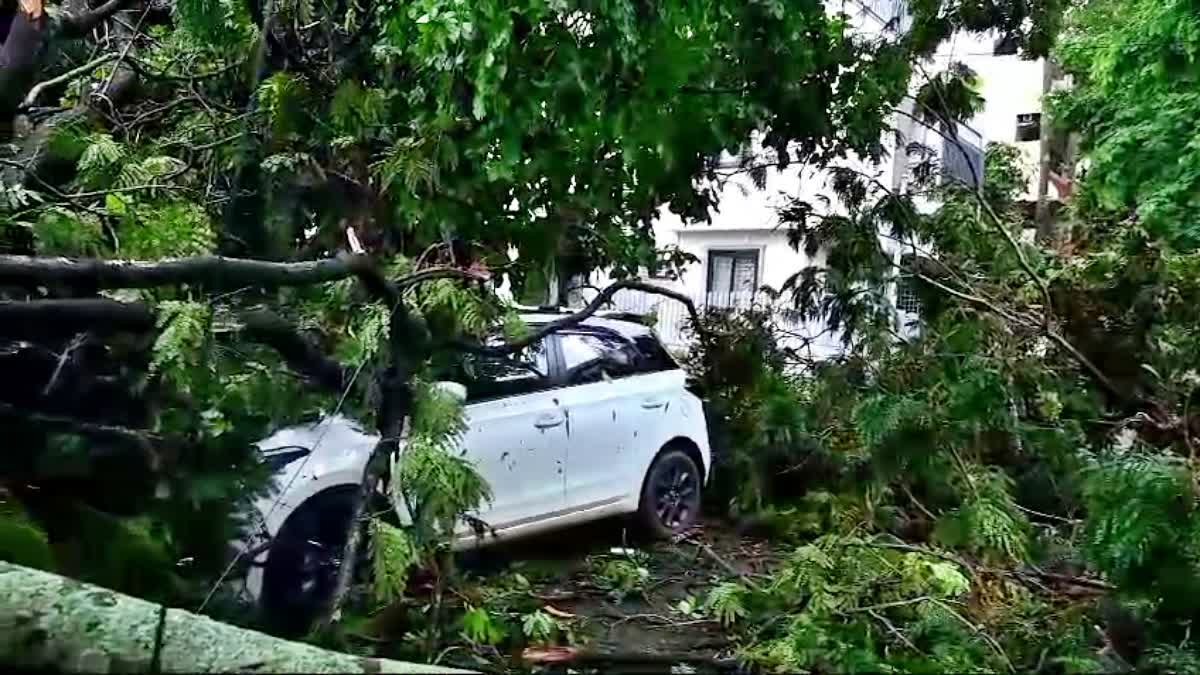 ಬೆಂಗಳೂರಲ್ಲಿ ಧಾರಾಕಾರ ಮಳೆಗೆ ಉರುಳಿದ ಮರ