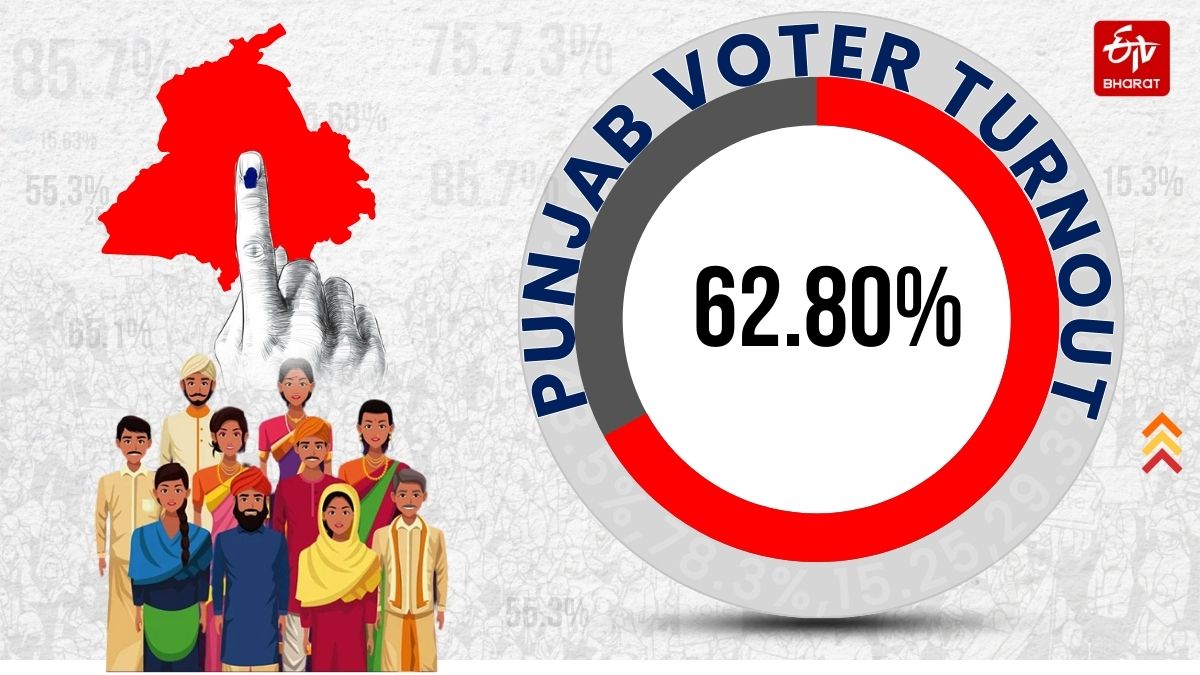 Punjab Vote Percentage