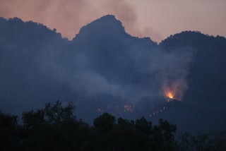 Pakistan Forest Fire