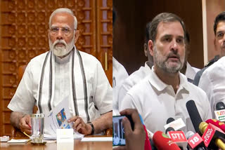 Lok Sabha Polls 2024: From Rae Bareli to Thiruvananthapuram, Key Contests to Watch For