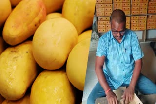 Jardalu Mango In Bhagalpur
