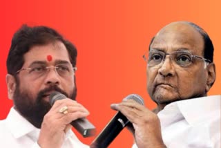 Sharad Pawar On CM Eknath Shinde