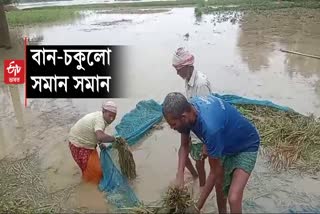 Flood in Morigaon