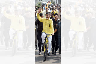 Chandrababu at NTR Bhavan