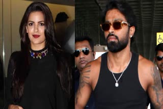 NATASA HARDIK PANDYA DIVORCE