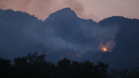 Pakistan Forest Fire