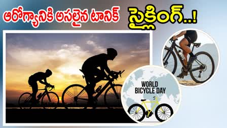 World Bicycle Day