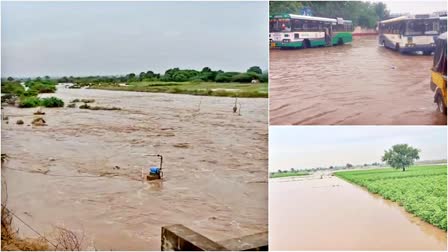 Andhra Pradesh Monsoon Rains