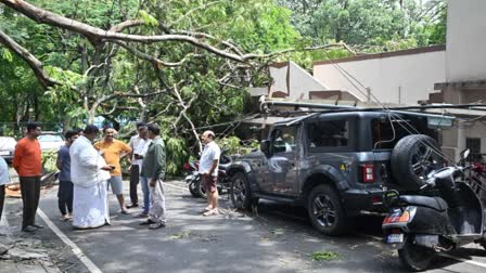 Yellow Alert In Karnataka  ബെംഗളൂരുവിൽ ശക്തമായ മഴ  Heavy Rain In Bengaluru  കര്‍ണാടകയിലെ മഴക്കെടുതി