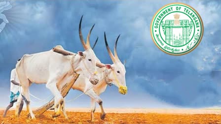 Kharif Season Start in Telangana