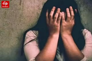 کرایہ دار مالک خاتون اور اس کی نابالغ بیٹی کی عصمت دری کرتا رہا، تیزاب سے جلانے کی دھمکی بھی دیا