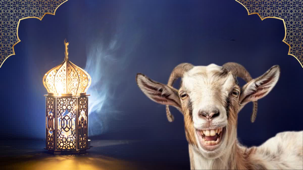eid ul adha 2025 goat teeth counted before qurbani rules conditions and importance in islam urdu news