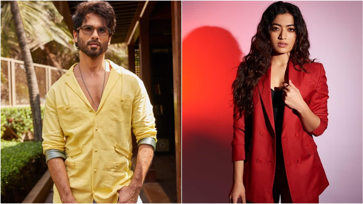 Shahid Kapoor and Rashmika Mandanna