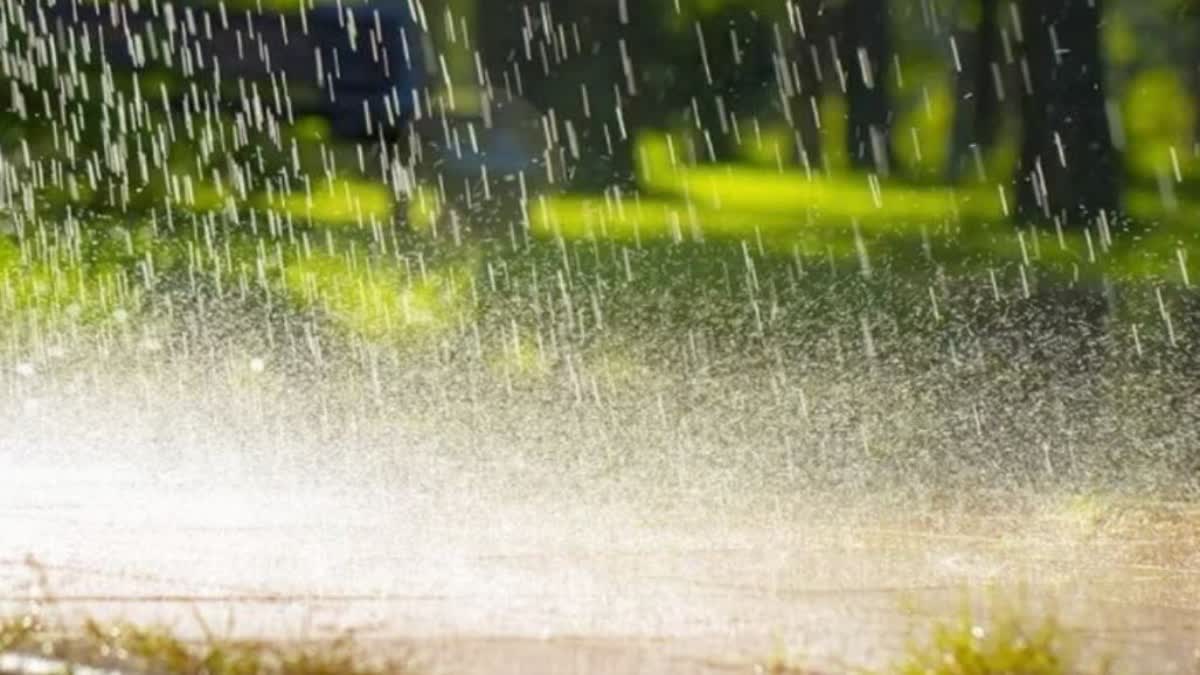 Monsoon In MP