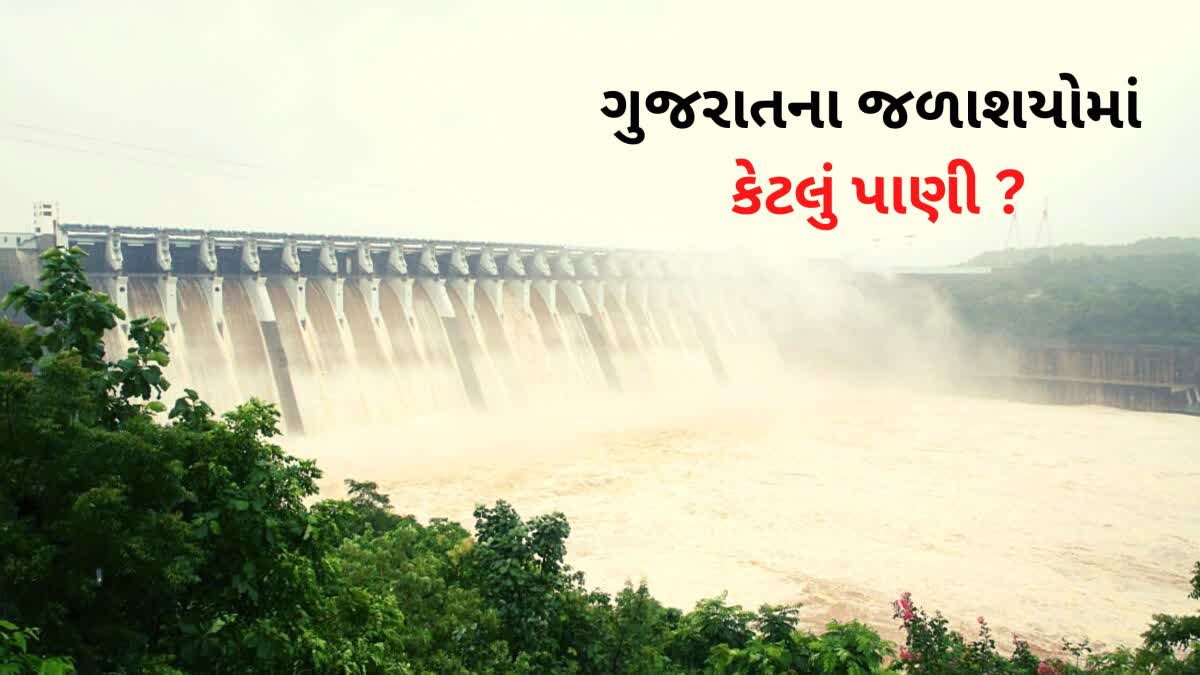 Gujarat Dams Water : ગુજરાતના 206 જળાશયોમાં 38 ટકાથી વધુ પાણીનો જથ્થાનો સંગ્રહ થયો