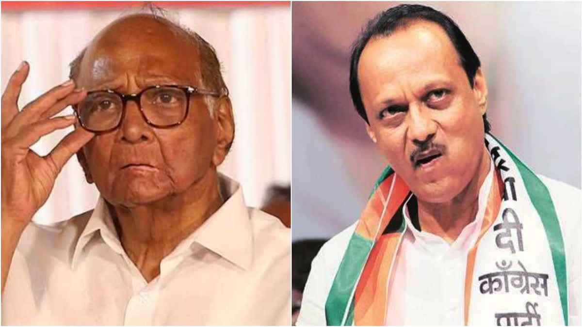 Sharad Pawar vs Ajit Pawar: How did BJP fish in troubled water and stun NCP