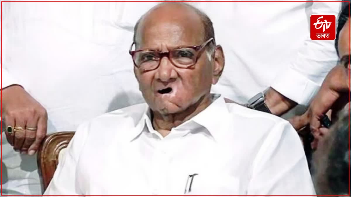 NCP Chief Sharad Pawar on rebellion