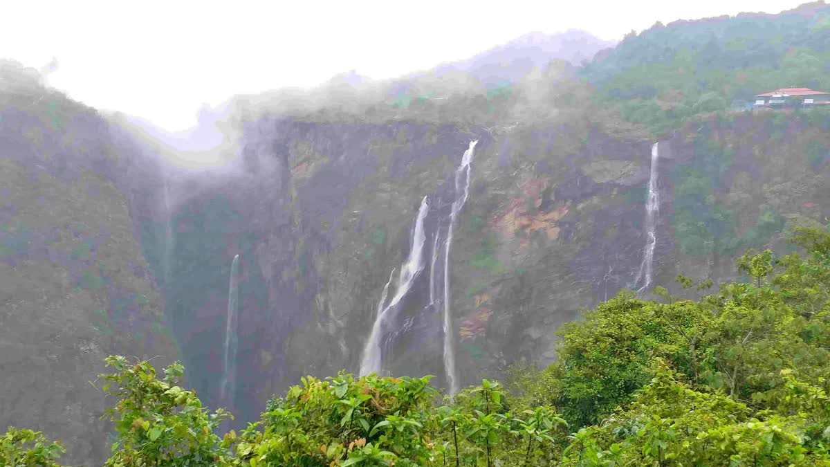 ಜೋಗ ಜಲಪಾತ