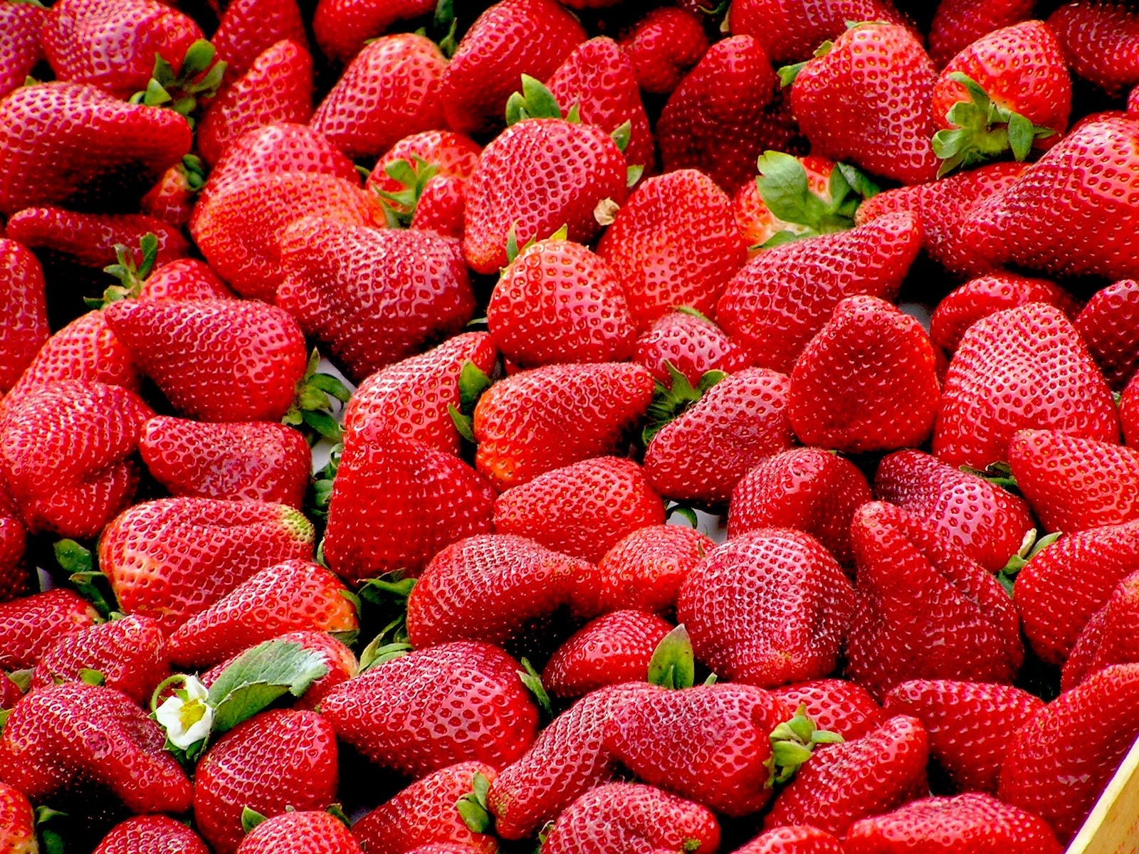 Strawberries for Healthy Heart