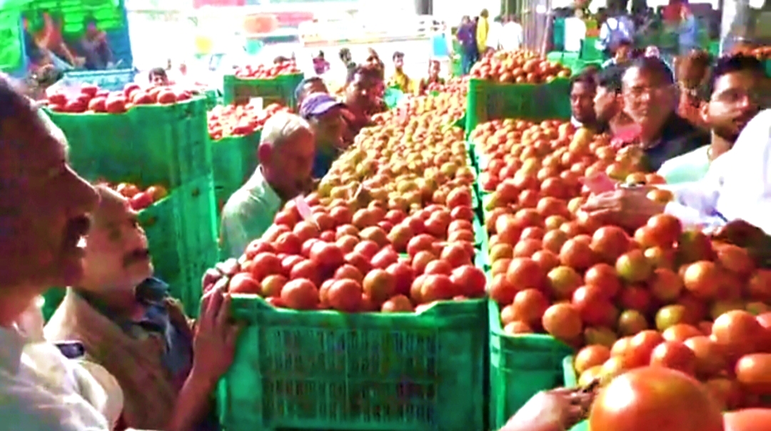 Tomato Price Hike in Himachal.