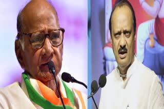 ncp-crisis-supriya-sule-on-ajit-pawar-ajit-pawar-doesnt-have-support-of-majority-of-mla-said-sule