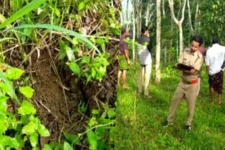 wild buffalo in Idukki Erattayar  Idukki Erattayar  Erattayar  wild buffalo in Idukki  ജനവാസ മേഖലയില്‍ കാട്ടുപോത്തിന്‍റെ സ്വാധീനം  ഇരട്ടയാർ  കാട്ടുപോത്ത്  ഉപ്പുകണ്ടം