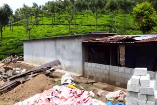 construction of ration shop  ration shop  ration shop destroyed by arikomban  arikomban  chinnakanal  wild elephant attack  wild animal  റേഷന്‍ കട  റേഷന്‍ കടയുടെ നിര്‍മാണം  അരിക്കൊമ്പന്‍  കാട്ടാന  ചിന്നക്കനാല്‍  ഇടുക്കി