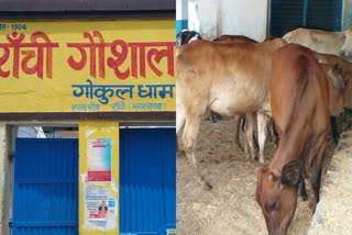 Gau Seva Commission