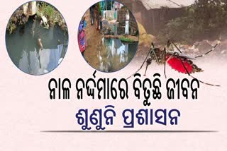 ନାଳ ନର୍ଦ୍ଦମା ମଧ୍ୟରେ ଖୋର୍ଦ୍ଧା ପୌରାଞ୍ଚଳର ୫ ନମ୍ବର ୱାର୍ଡ