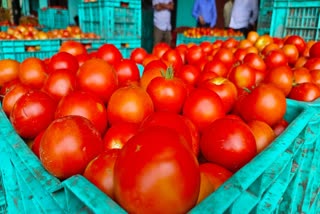 Tomato Price Hike