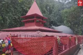 Basistha Panchakayna Dham