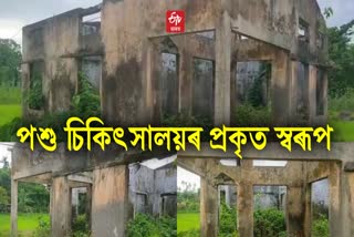Poor condition of veterinary hospital in Gohpur