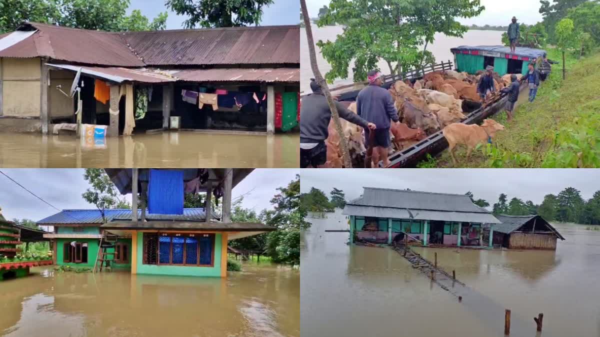 flood situation has improved in some parts of Dhemaji, several places are still affected by floods