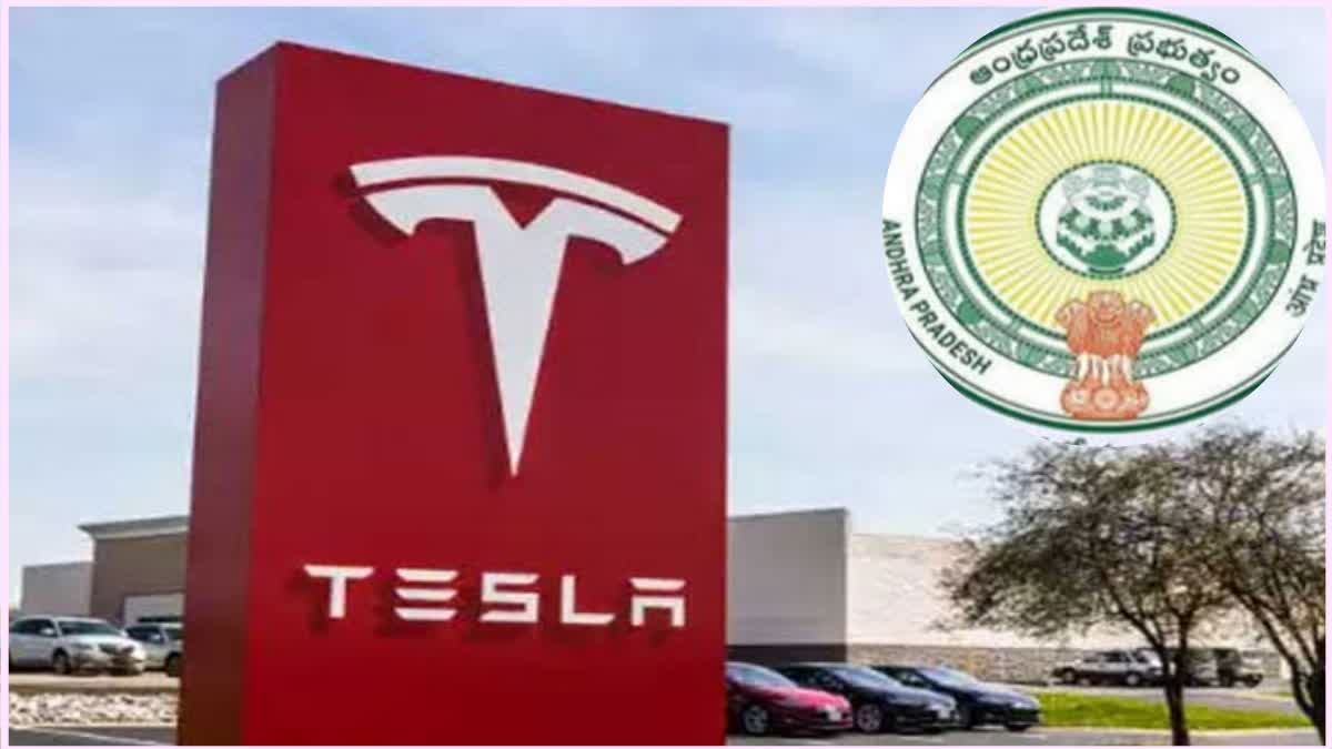 Government Discuss With Tesla Management