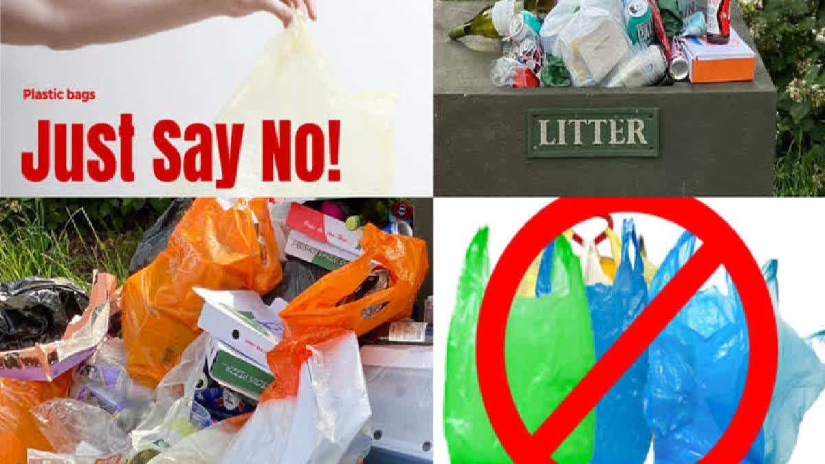 International Plastic Bag Free Day 2024: Let's Come Up With Sustainable Alternatives