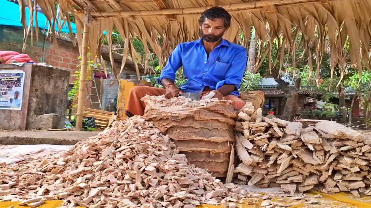 പനം പൊടി നിർമ്മാണം  PALM POWDER MANUFACTURING  PALM FLOUR MAKING  പനം പൊടി