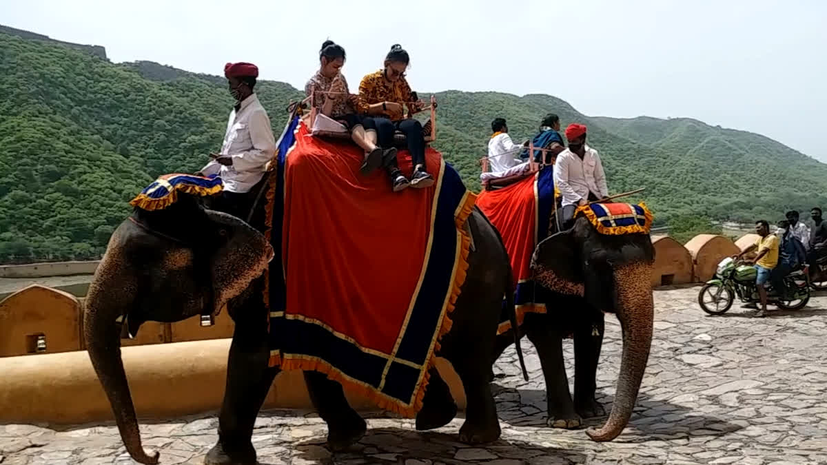 elephant ride charges increased