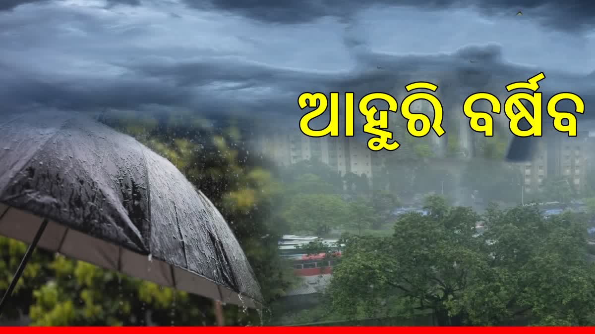 Odisha Weather Forecast