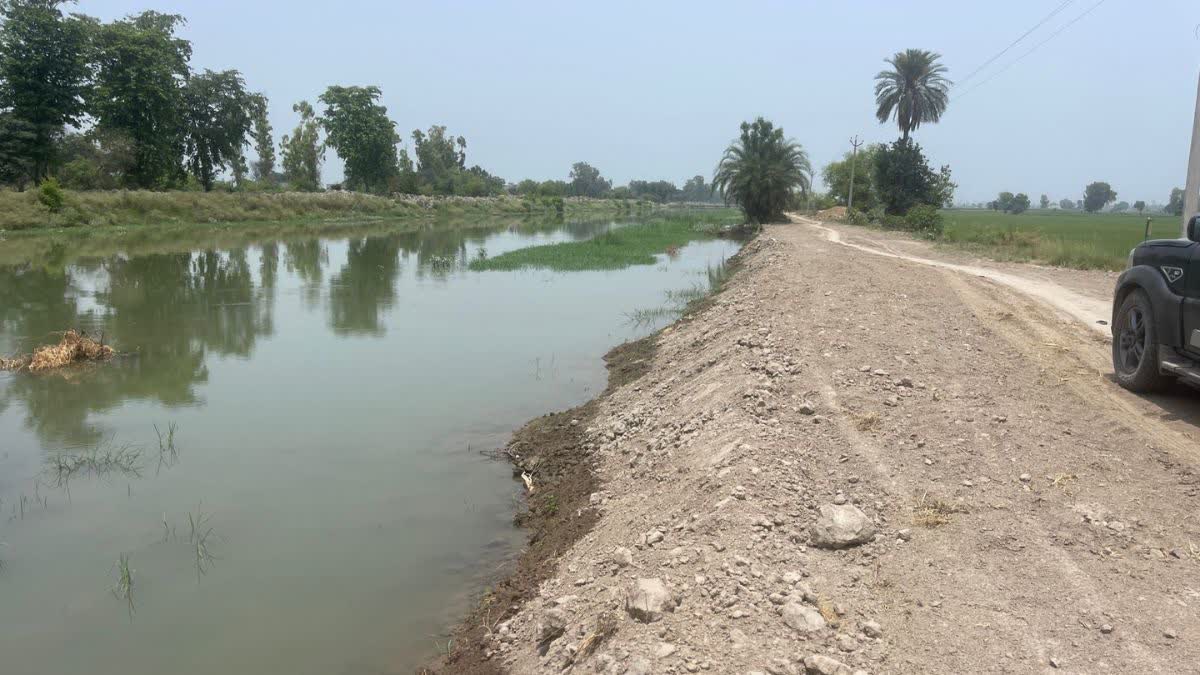 पंजाब ने नहीं छोड़ा राजस्थान की नहरों में पूरा पानी