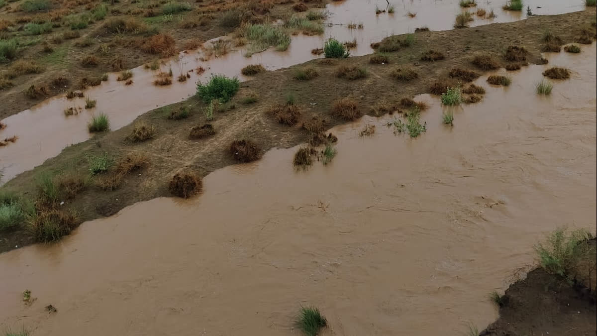 Water flows in Sahibi river after 20 years