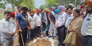 Cabinet Minister Kuldeep Dhaliwal planted saplings
