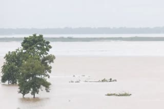 ASSAM FLOOD  അസം വെള്ളപ്പൊക്കം  28 DISTRICTS FLOOD AFFECTED  DEATH BY FLOOD