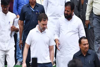 Rahul Gandhi in Lok Sabha