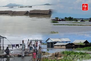 ASSAM FLOOD 2024