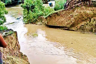 गंडक का तटबंध टूटा.