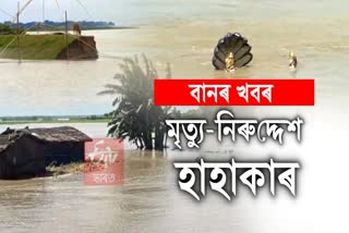 Assam flood situation