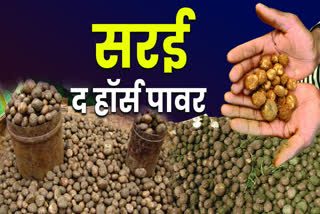 SARAI VEGETABLE HEALTH BENEFITS