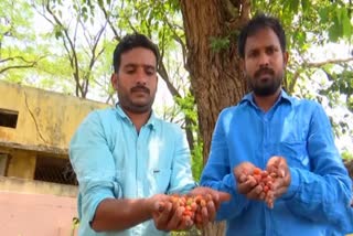 Nalgonda sandeep gather various seeds